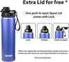 AHAVA 750ml Insulated Water Bottle | 12H Hot, 24H Cold | BPA-Free| 2 Lids: Straw & Spout | Dishwasher Safe, Premium Stainless Steel for Gym, Office, Travel, School (Estate Blue)